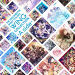 THE IDOLM@STER SHINY COLORS WING COLLECTION -A side-