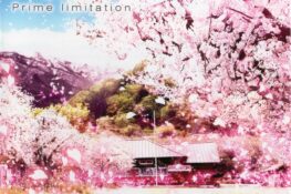 Sakura, Sakimashita. Original Soundtrack: Prime limitation