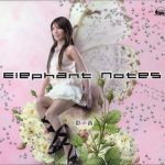 Elephant Notes / Ayane